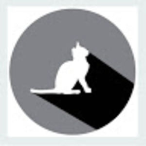 Meet your Posher, Liz